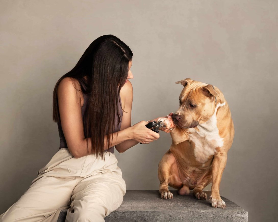 Fluffy grooming studio by Izabela Fiala Osijek obrt za uljepšavanje i njegu kućnih ljubimaca - rezanje noktiju kućnim ljubimcima