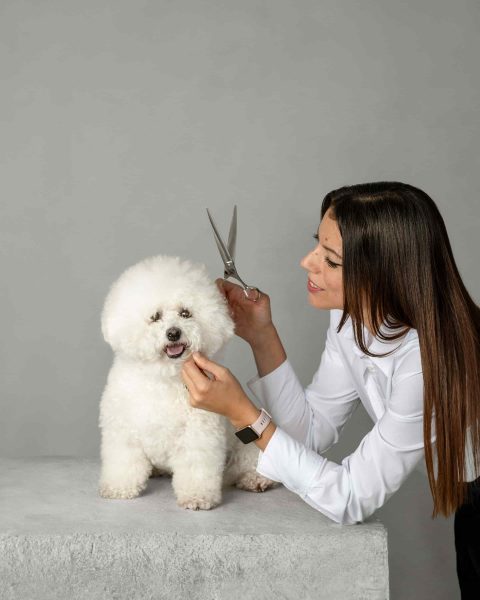 Fluffy grooming studio by Izabela Fiala Osijek obrt za uljepšavanje i njegu kućnih ljubimaca - šišanje pasa